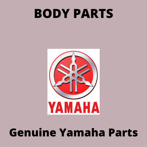 Body Parts