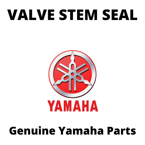 Valve Stem Seal