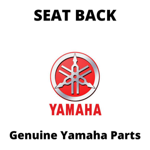 Seat Back
