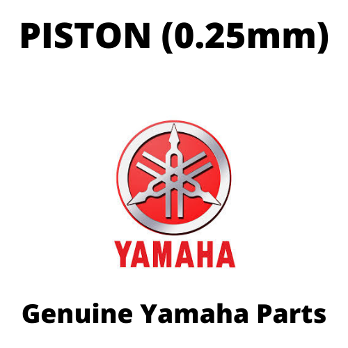 Piston (0.25mm)