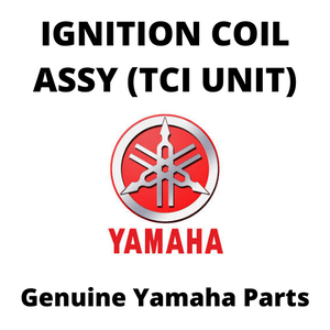 Ignition Coil Assembly (TCI Unit)