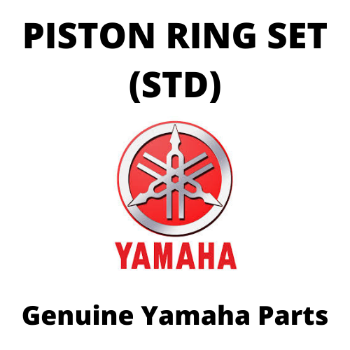 Piston Ring Set (Std)