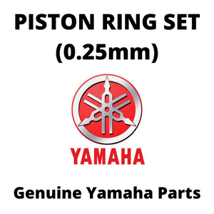 Piston Ring Set (0.25mm)