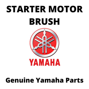 Starter Motor Brush