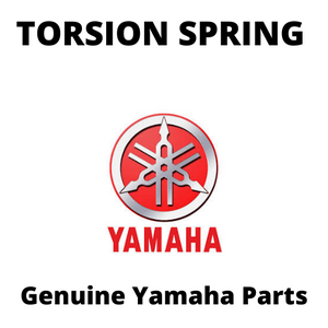 Torsion Spring