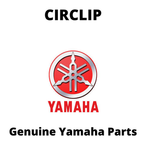 Circlip