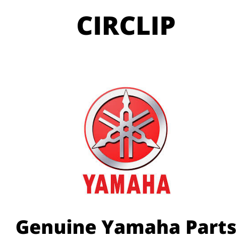 Circlip