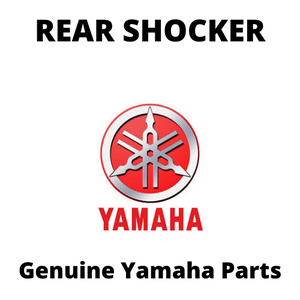 Rear Shocker
