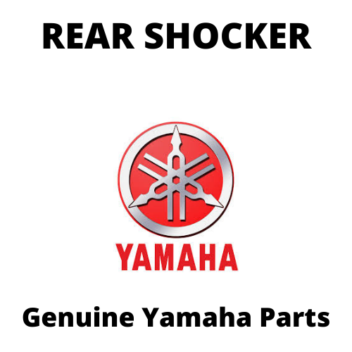 Rear Shocker