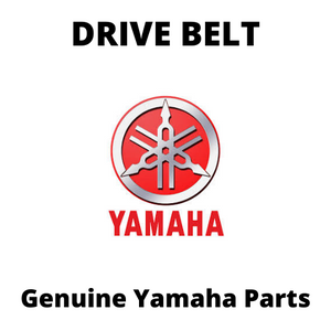Drive Belt