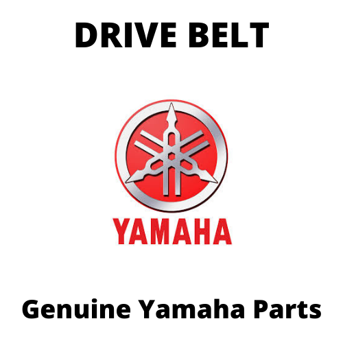 Drive Belt