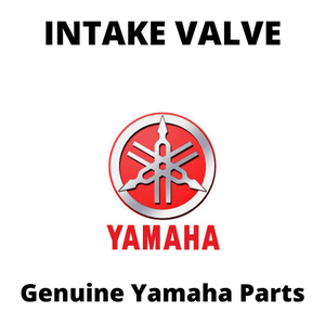 Valve Intake