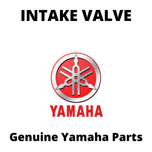 Valve Intake