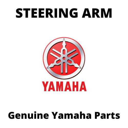 Steering Arm