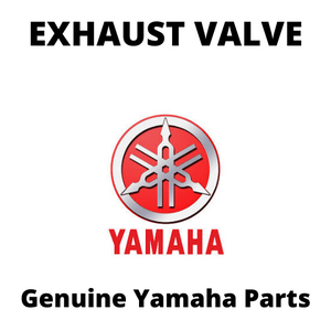 Exhaust Valve