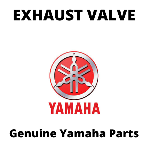 Exhaust Valve
