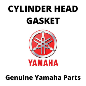 Cylinder Head Gasket