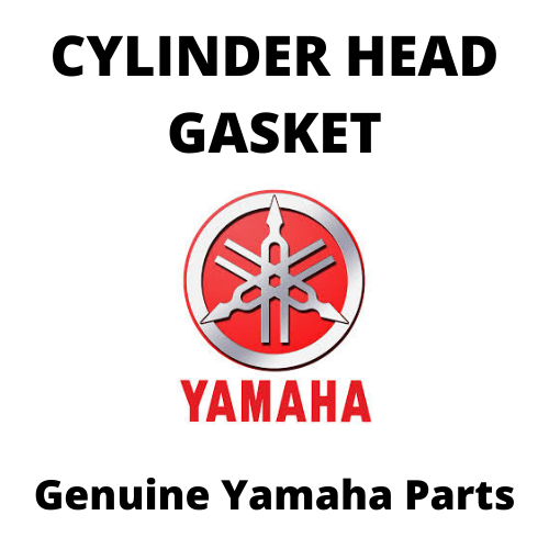 Cylinder Head Gasket