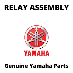 Relay Assembly